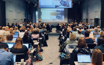 Mange mennesker i en konferansesal som ser på et foredrag fra Framsikt Systemansvarligsamling