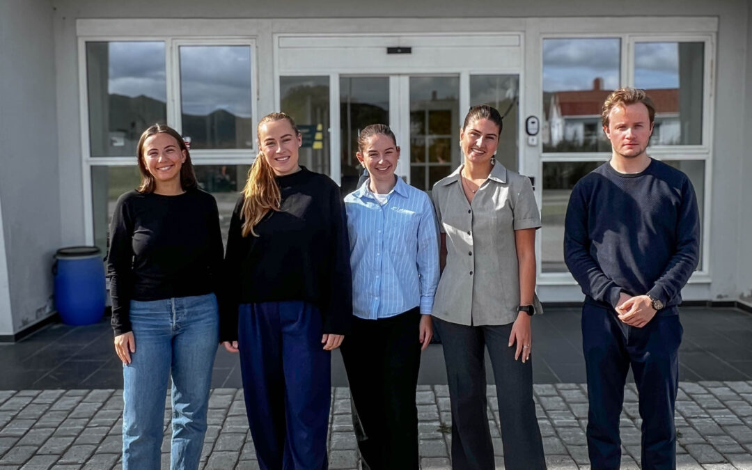 traineebilde blogg header